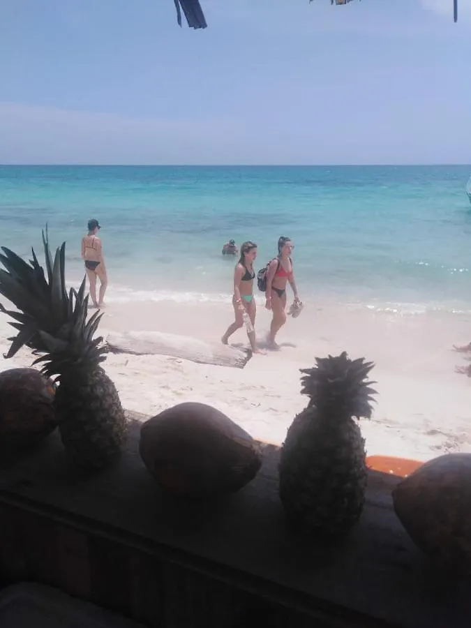 Posada Azul Baru Playa Blanca Guest house